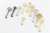 10 Piece Bit + Barrel Skeleton Keys