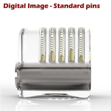 clear acrylic practice lock standard pins side